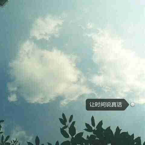微信可爱的考拉头像【点击鼠标右键下载】