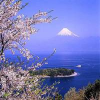 微信头像日本风景高清图片