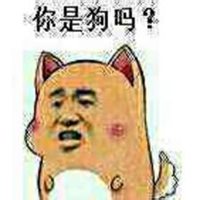 狗头像搞笑