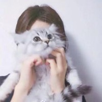 小女孩和猫咪的卡通头像【点击鼠标右键下载】