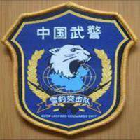 微信军人头像大全