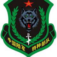 特种兵头像