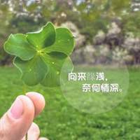 四叶草的花语是幸福