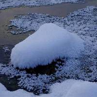 微信雪景头像 阿尔山国家森林公园雪景图片