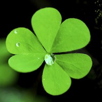 意境景色微信头像【点击鼠标右键下载】