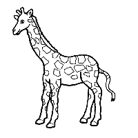 长颈鹿头像简笔画_简笔画画的可爱长颈鹿