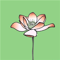 荷花头像卡通,好看的荷花动漫头像图片【点击鼠标右键下载】