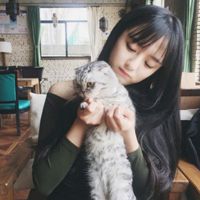 美女抱猫头像 抱猫少女