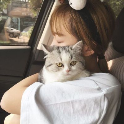 美女抱猫头像 抱猫少女