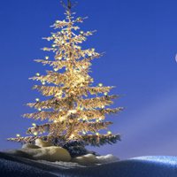 雪地夜景头像_冰天雪地的夜晚美翻了【点击鼠标右键下载】