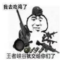 吃鸡q版头像图片