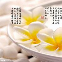 唯美好看鸡蛋花微信头像【点击鼠标右键下载】