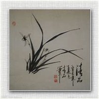 微信兰花头像_高清兰花花朵图片大全【点击鼠标右键下载】