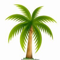 微信椰子树头像_高清椰子树微信头像