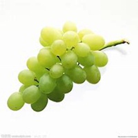 水果葡萄头像_微信头像图片大全