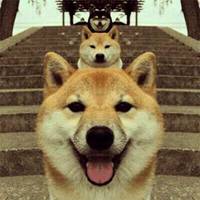 可爱狗狗头像二次元_微信头像图片大全
