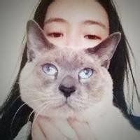 欧美男抱猫头像