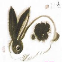 属兔一生好运微信头像,2021属兔好运连连头像 属兔带吉祥财运的微信头像【点击鼠标右键下载】