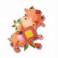 属牛本命年头像_微信头像图片大全