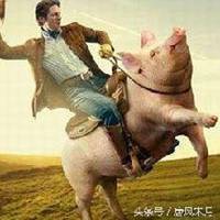骑猪情侣头像