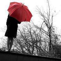 打伞头像女孩图片 下雨天打伞的女孩背影头像