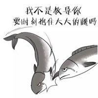 大佬咸鱼表情包【点击鼠标右键下载】