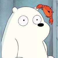 壁纸熊头像图片大全_微信头像图片大全