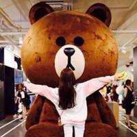 韩国女生抱布朗熊头像_微信头像图片大全