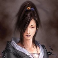 三国志11女武将头像