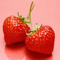 草莓头像简约