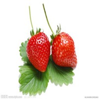 草莓头像简约