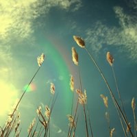 意境头像风景图片大全【点击鼠标右键下载】