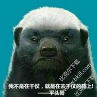 蜜獾平头哥卡通头像_微信头像图片大全