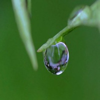 微信头像适逢干雨露【点击鼠标右键下载】