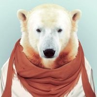 图片动物头像霸气【点击鼠标右键下载】