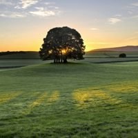 微信头像风景阳光早晨【点击鼠标右键下载】