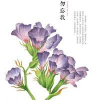 勿忘我花做头像带字【点击鼠标右键下载】