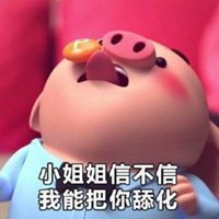 猪小屁高清图片头像【点击鼠标右键下载】