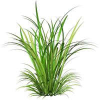 图片头像唯美小草_微信头像图片大全