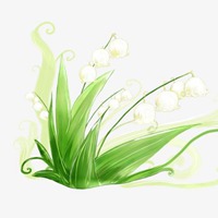 图片头像唯美小草_微信头像图片大全