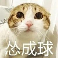 超怂猫猫头像 搞笑对怂猫咪微信头像_微信头像图片大全