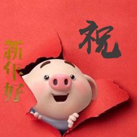 2019猪本命年微信头像 吉祥金猪本命年头像_