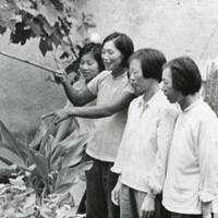 80年代农村妇女图片_微信头像图片大全