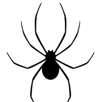 黑色蜘蛛微信头像