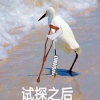 白鹤在边缘试探表情包_微信头像图片大全