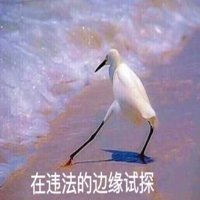 白鹤在边缘试探表情包_微信头像图片大全