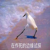 白鹤在边缘试探表情包_微信头像图片大全