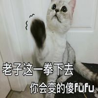 傻fufu表情包_微信头像图片大全