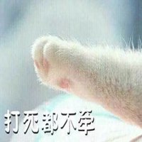 给你手牵猫爪表情包【点击鼠标右键下载】