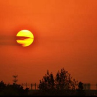 红太阳微信头像图片图片